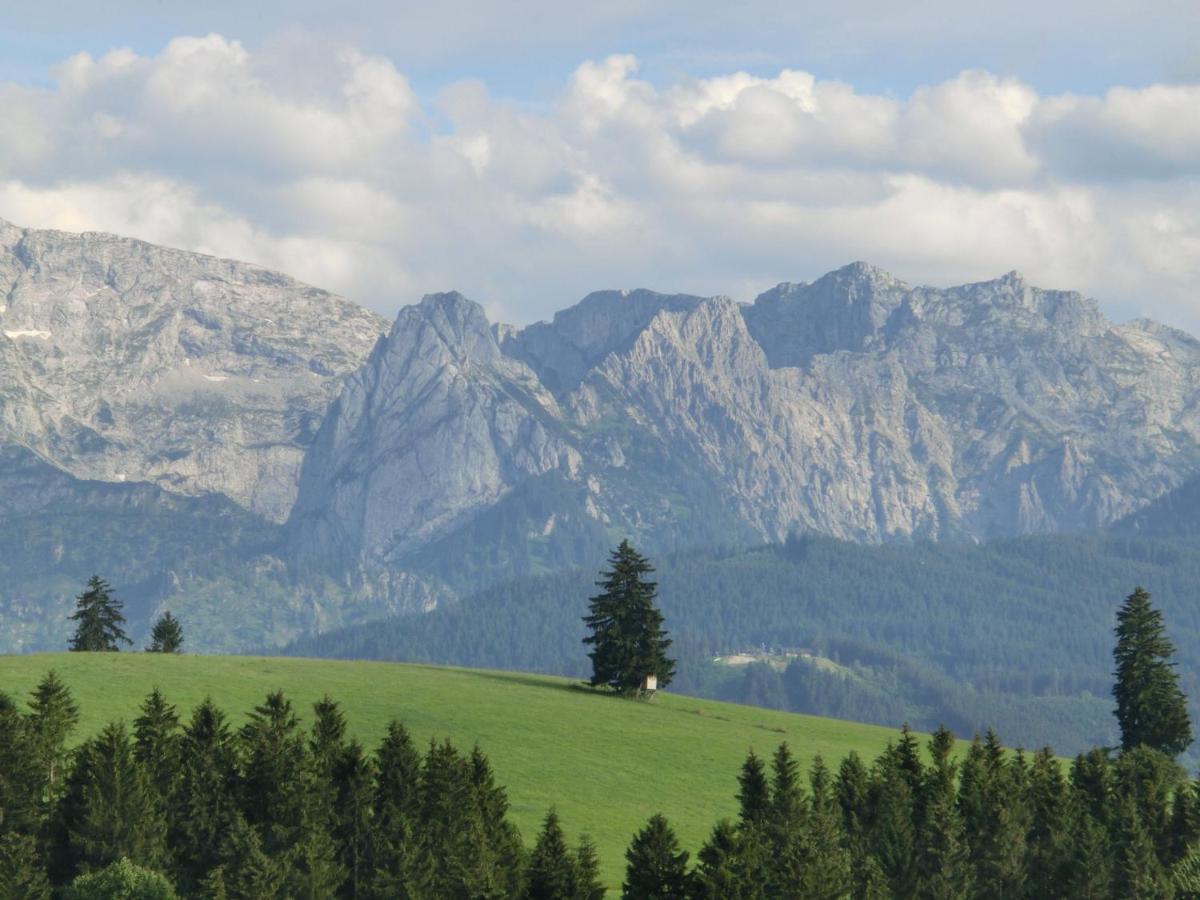 Apartment In Lechbruck Bavaria With Garden Oda fotoğraf